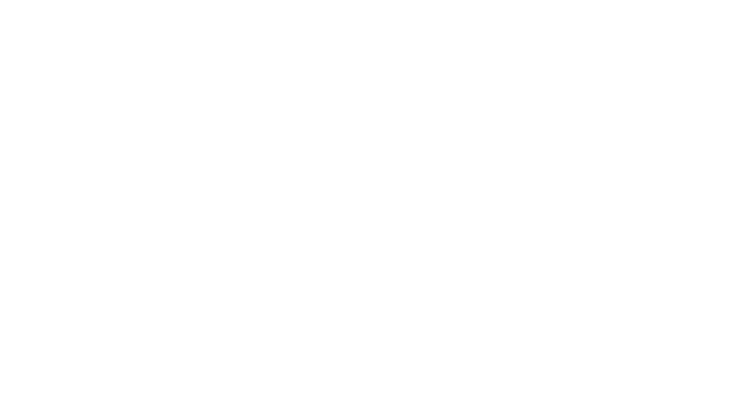 Handy Trainer